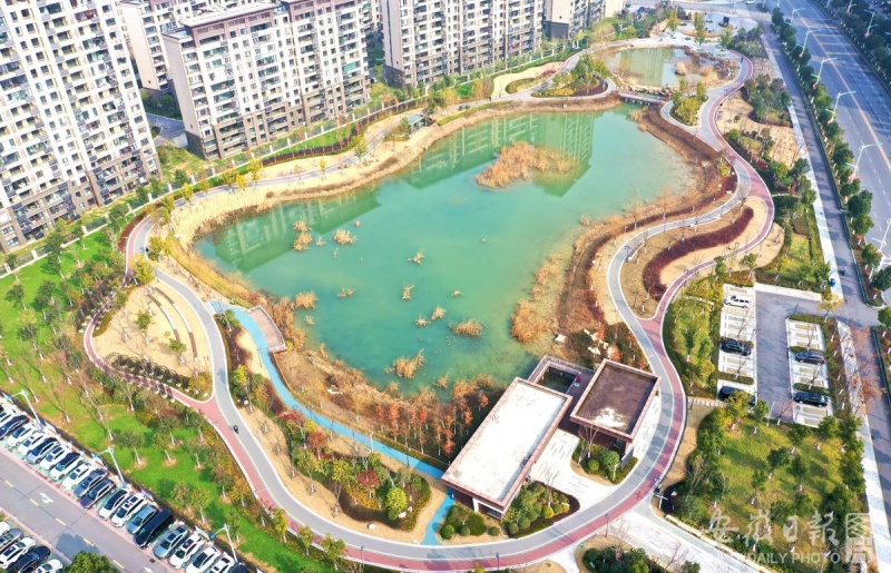 图为无人机航拍位于舒城县城区的苏塘公园全景。.jpg