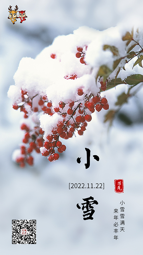 小雪节气祝福实景排版手机海报.jpg