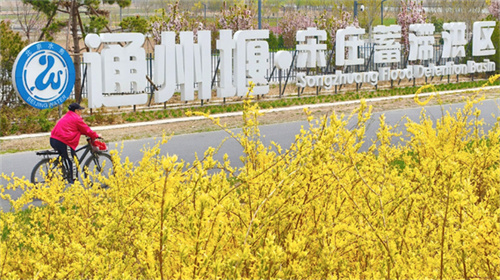 副中心宋庄蓄滞洪区二期近美嘉体育平台期将对外开放(图2)