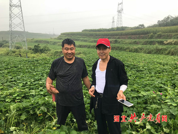 贾拴成冒雨赴山西阳泉种植户那里进行田间技术指导（左）.jpg