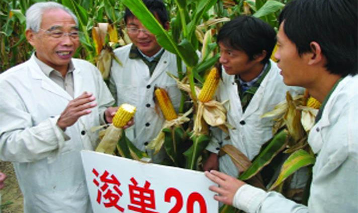 玉米育种专家程相文和国字号浚单20在一起，认真地为学生们讲解玉米知识.png
