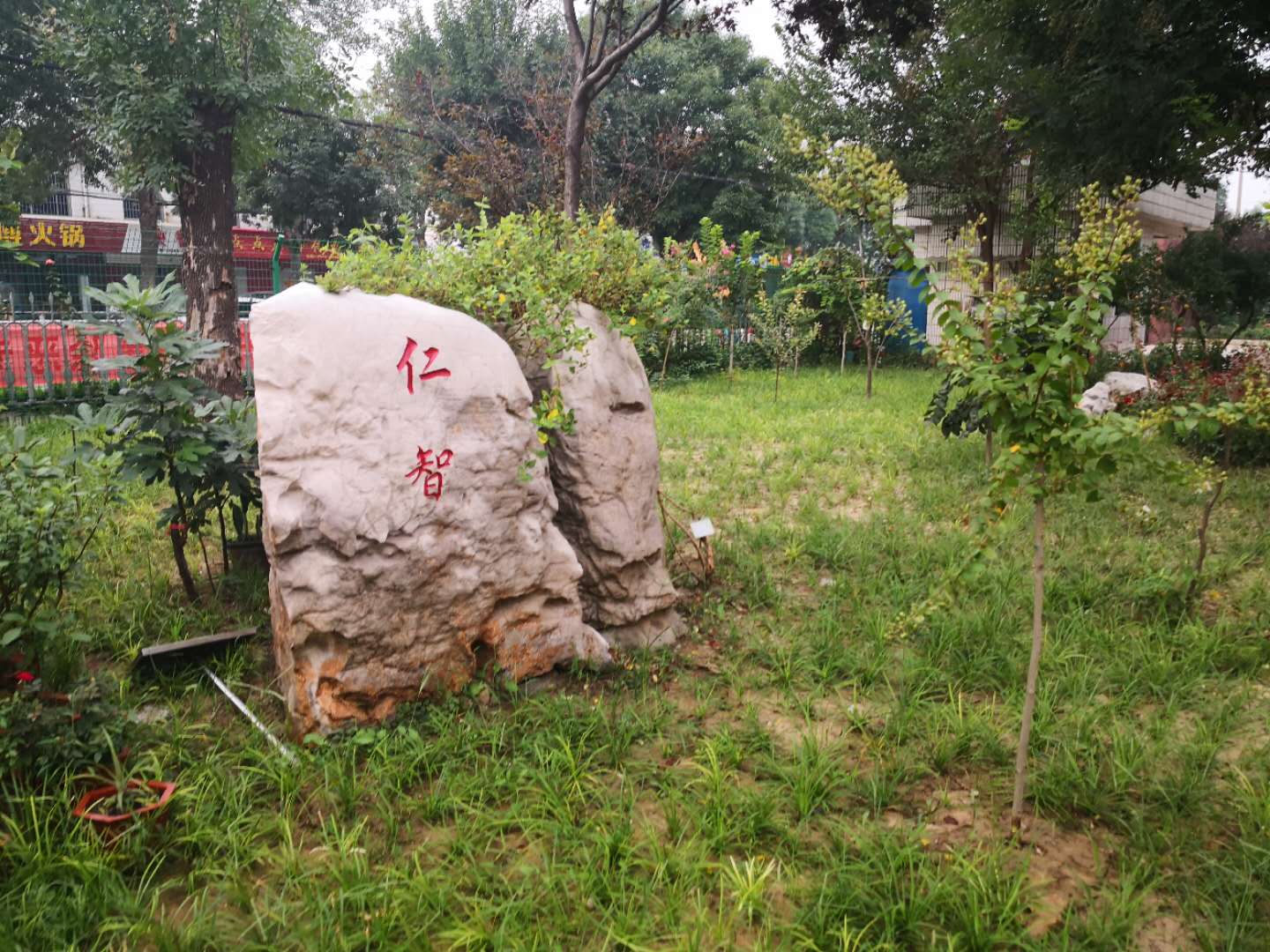 博兴县第一小学 花园
